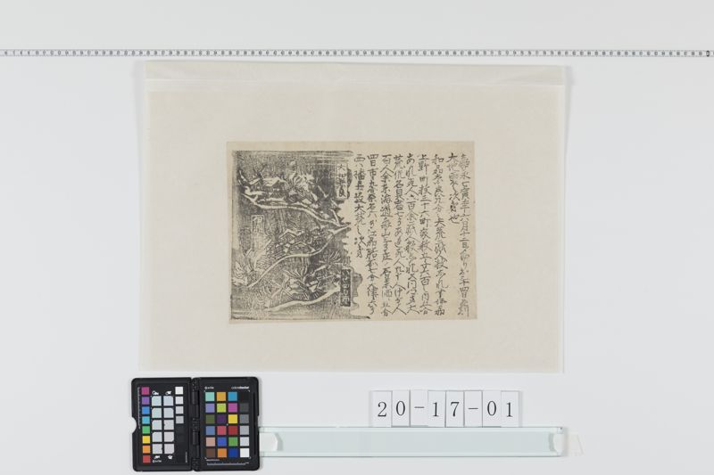 大地震次第(大和・伊勢・伊賀)(嘉永７年)[27冊-11] - ページ 1