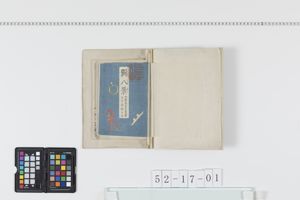 Thumbnail